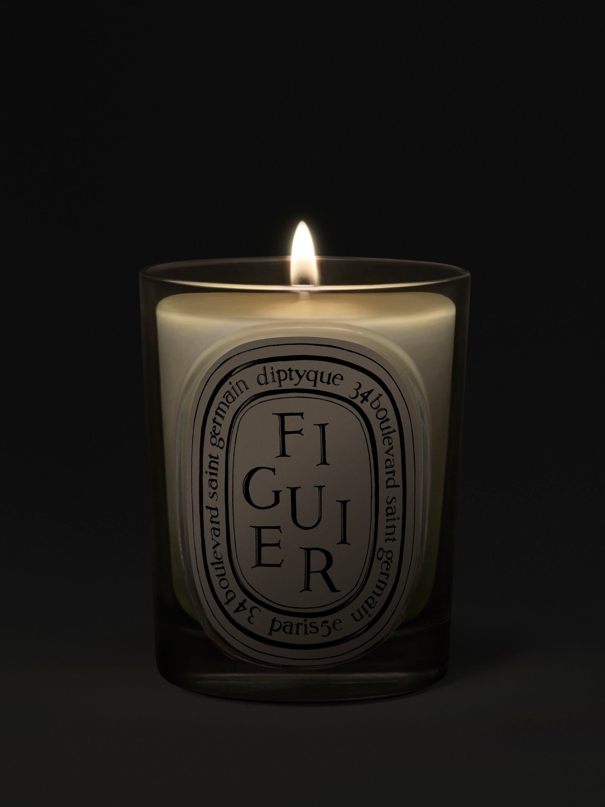 Figuier (Fig Tree) - Classic Candle – VIOLET GREY