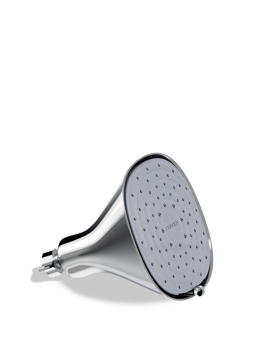 Filtered Showerhead