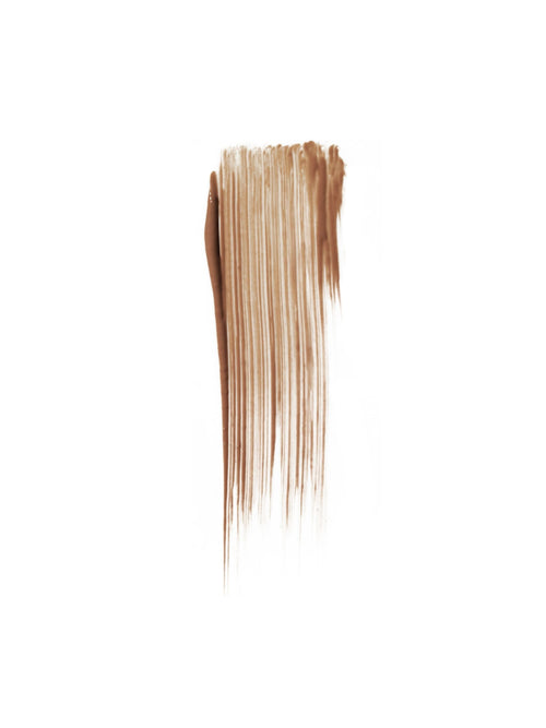 Full Brow Perfecting Gel + Tint