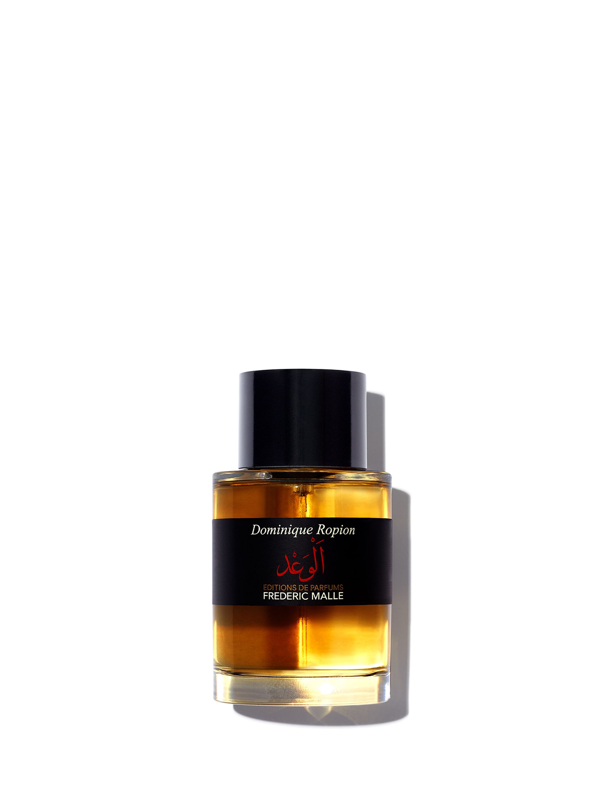 キラキラ星 73. 【レフィル】センチュリープライム エマルジョン| Promise – VIOLET GREY