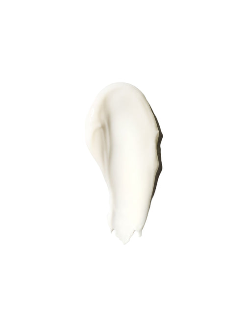 Elasticizer