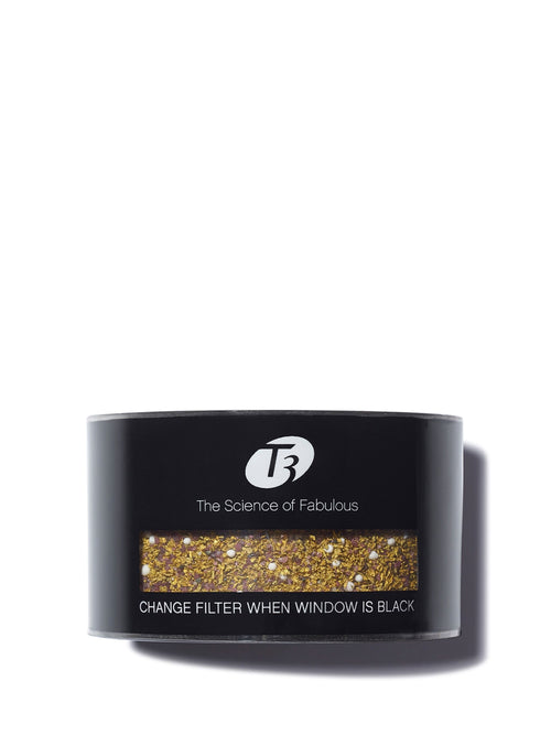 Source Showerhead Replacement Filter