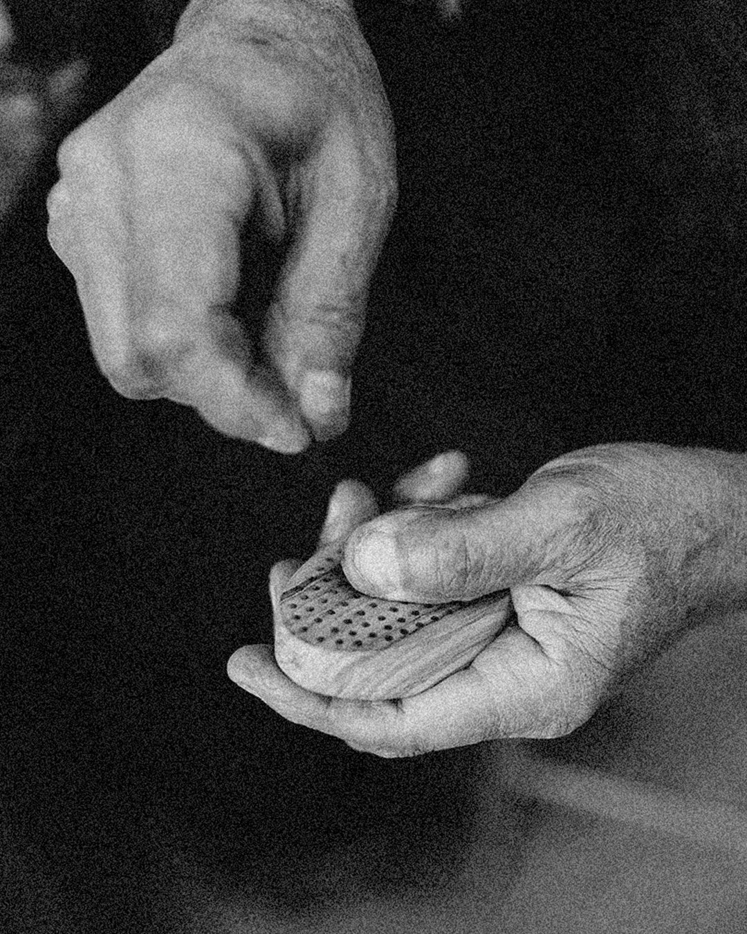 Where Craft Meets Care: Altesse Studio’s Heritage Hairbrushes