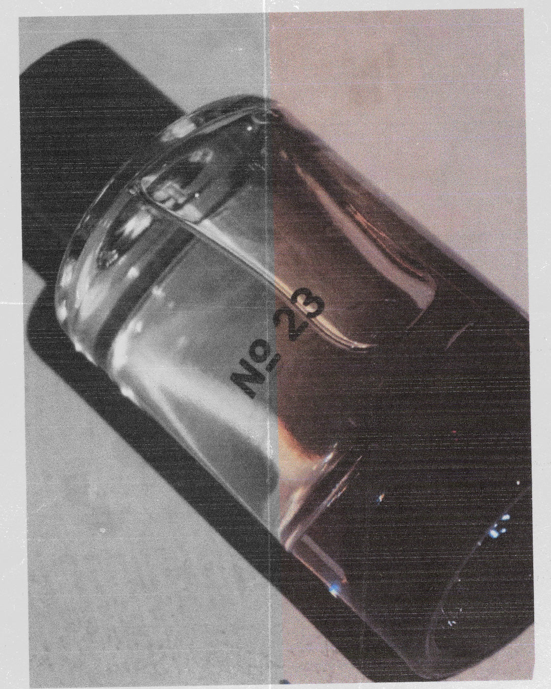 BIOGRAPHY OF A SCENT: NO. 23