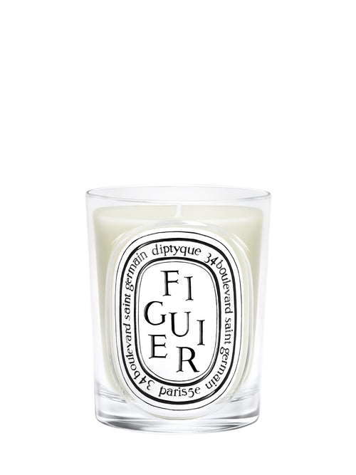 Figuier (Fig Tree) - Classic Candle