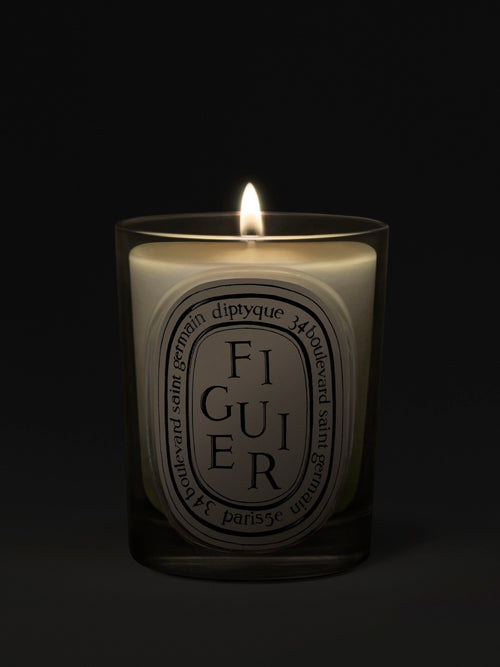 Figuier (Fig Tree) - Classic Candle