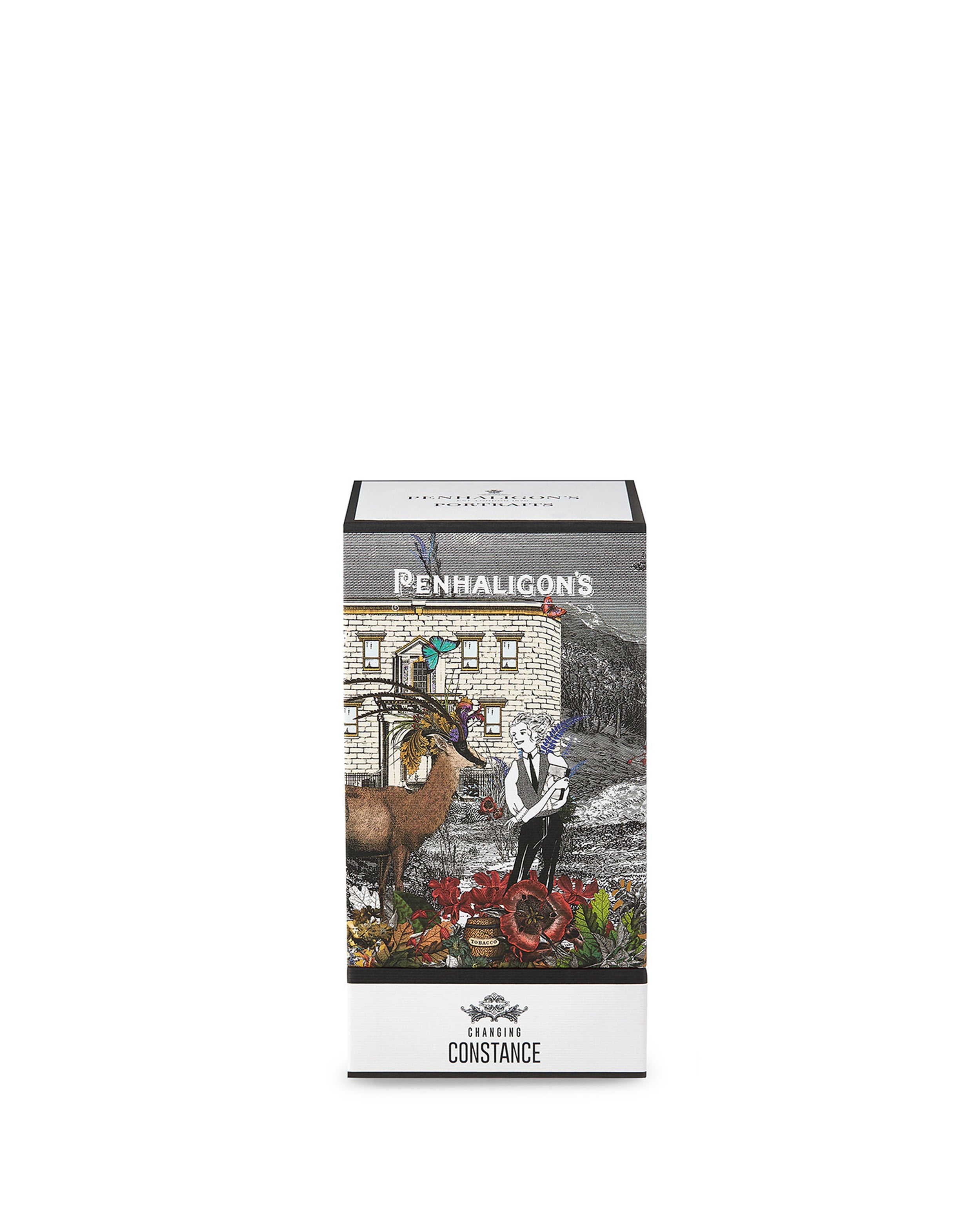 Changing Constance – VIOLET GREY