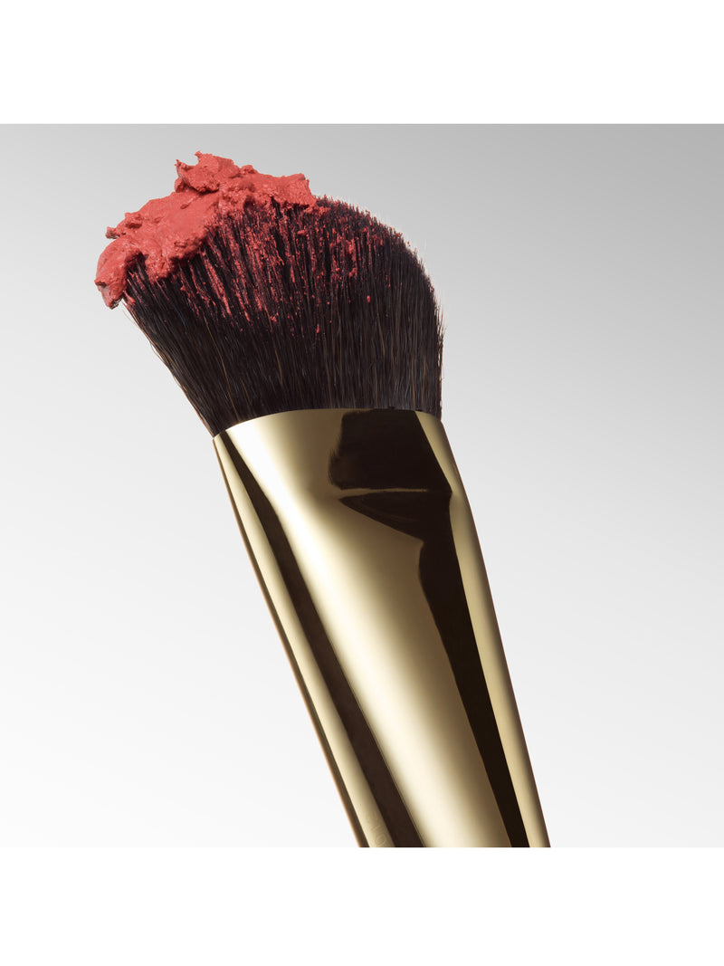 Blush & Blur Brush  Precision Brush for Blushing and Lifting