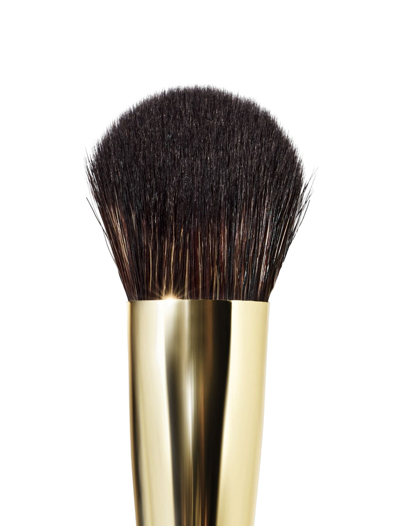 The Complexion Brush