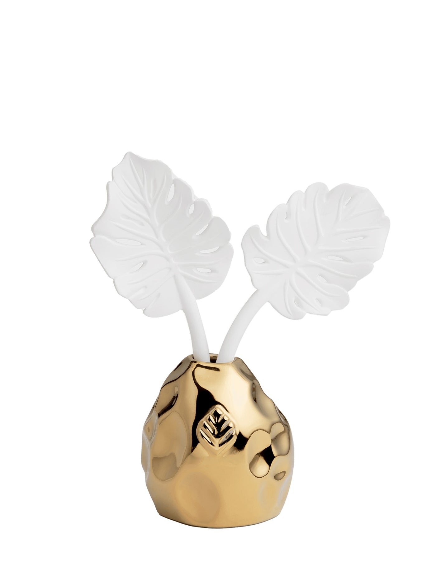 Diffuser Folha Costela de Adao Gold With Figo Negro