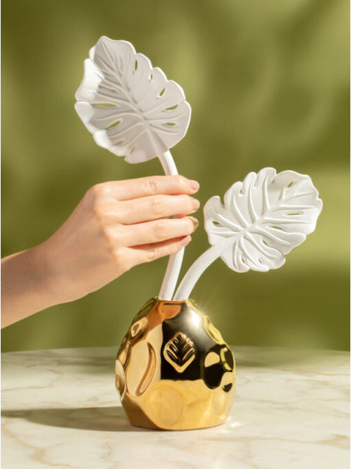 Diffuser Folha Costela de Adao Gold With Figo Negro