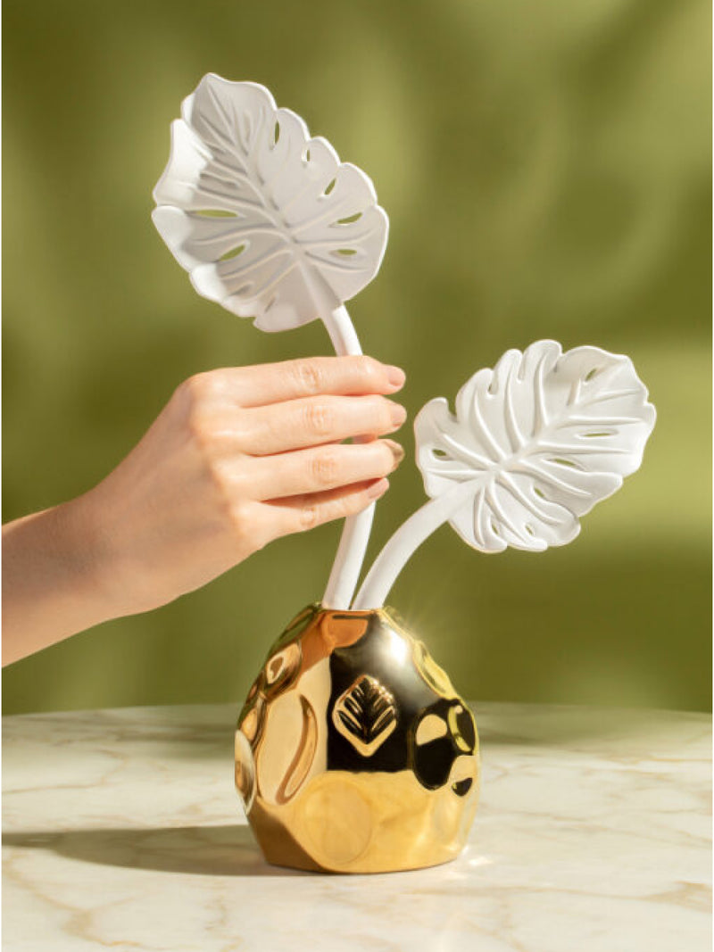 Diffuser Folha Costela de Adao Gold With Figo Negro