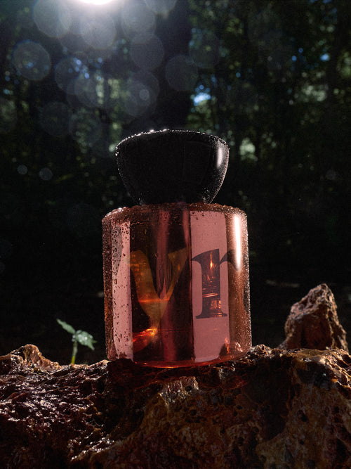 Mamajuju EDP for Grounding and Awareness