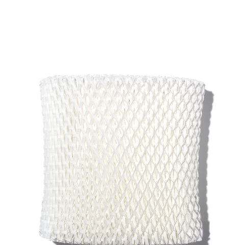 Canopy Replacement Filter