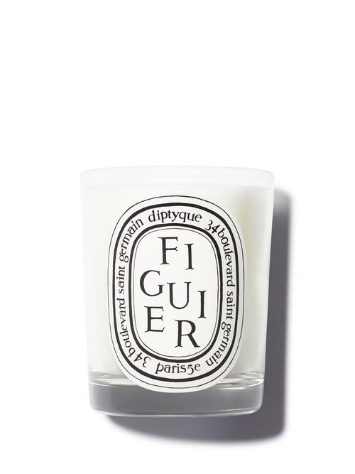 Figuier (Fig Tree) - Classic Candle