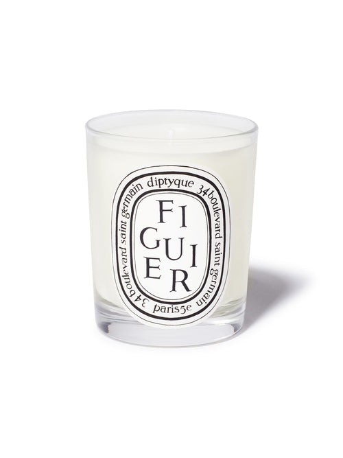 Figuier (Fig Tree) - Classic Candle