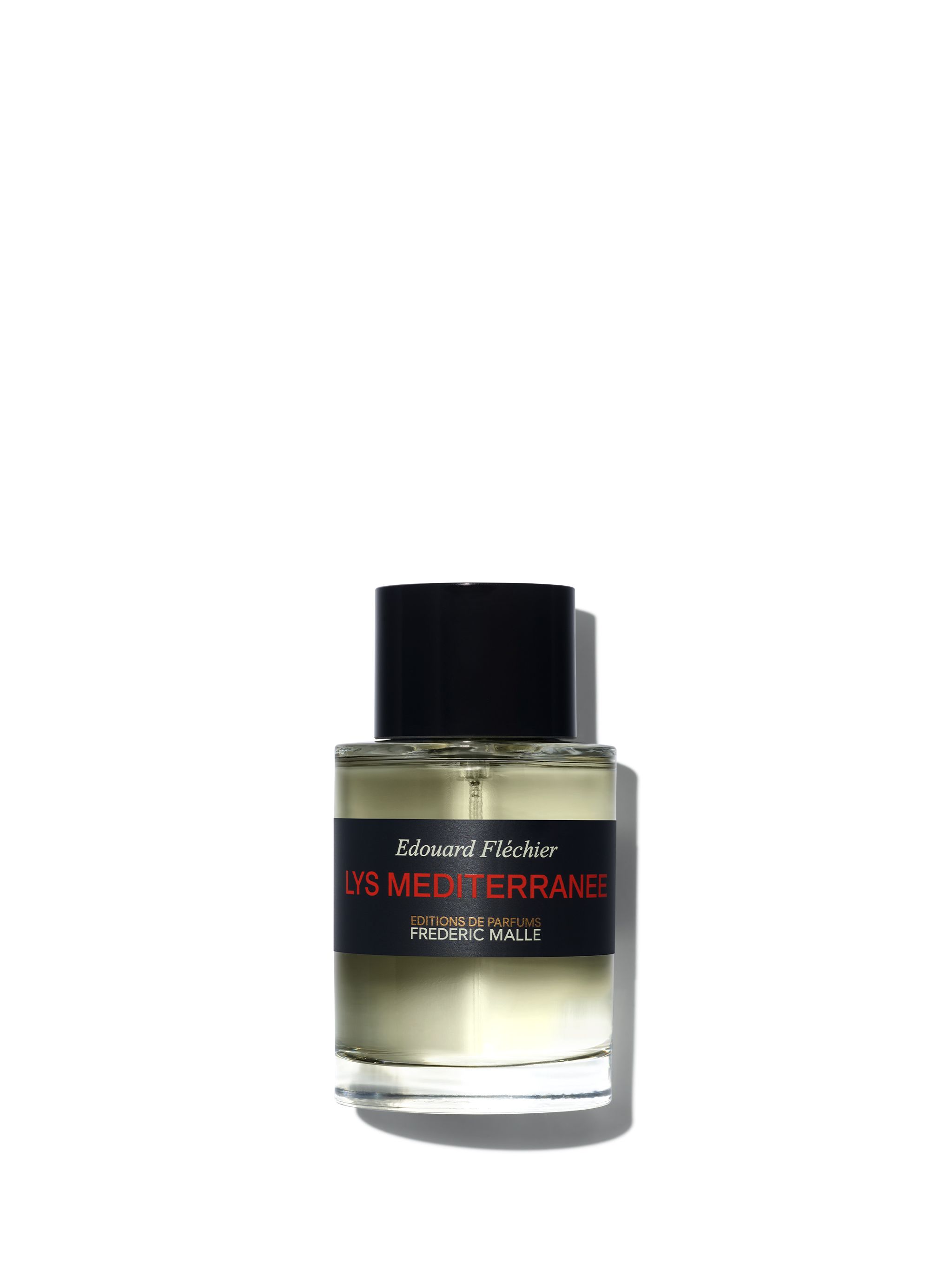 Lys Mediterranee – VIOLET GREY